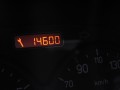 IMG_3393.JPG